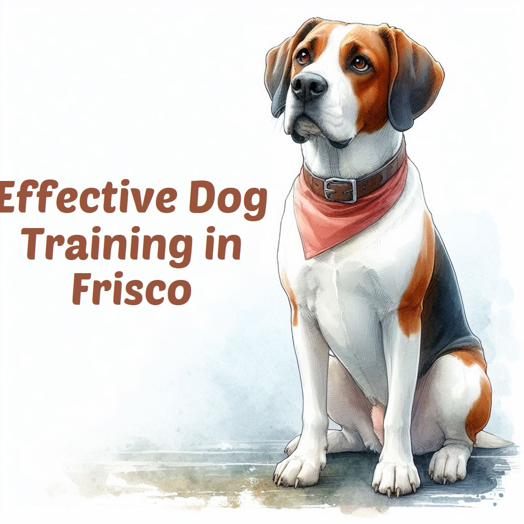 dog training in Frisco